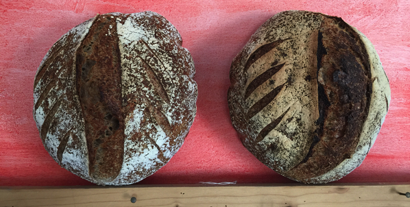 Long-soak brown bread | Fornacalia