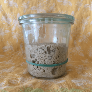 wholemeal sourdough starter in a jar