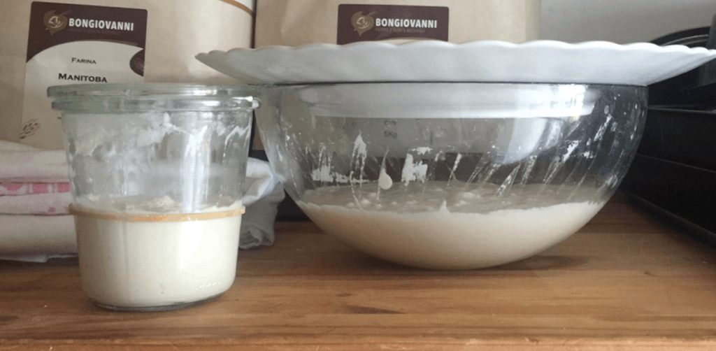 starter and leaven set aside for the bacteria and yeasts to multiply
