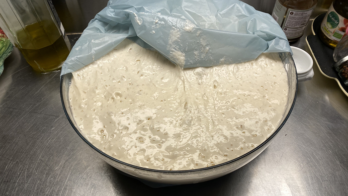 Fifth build of the white leaven filling a large bowl