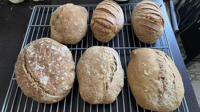 Two rye and four buckwheat loaves