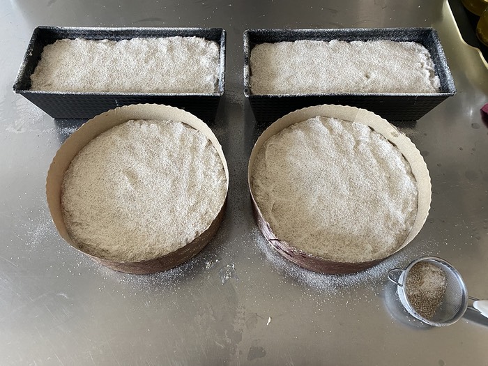 Rye dough in forms ready for bulk fermentation