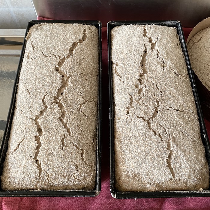 Risen rye dough with clear cracks on the surface