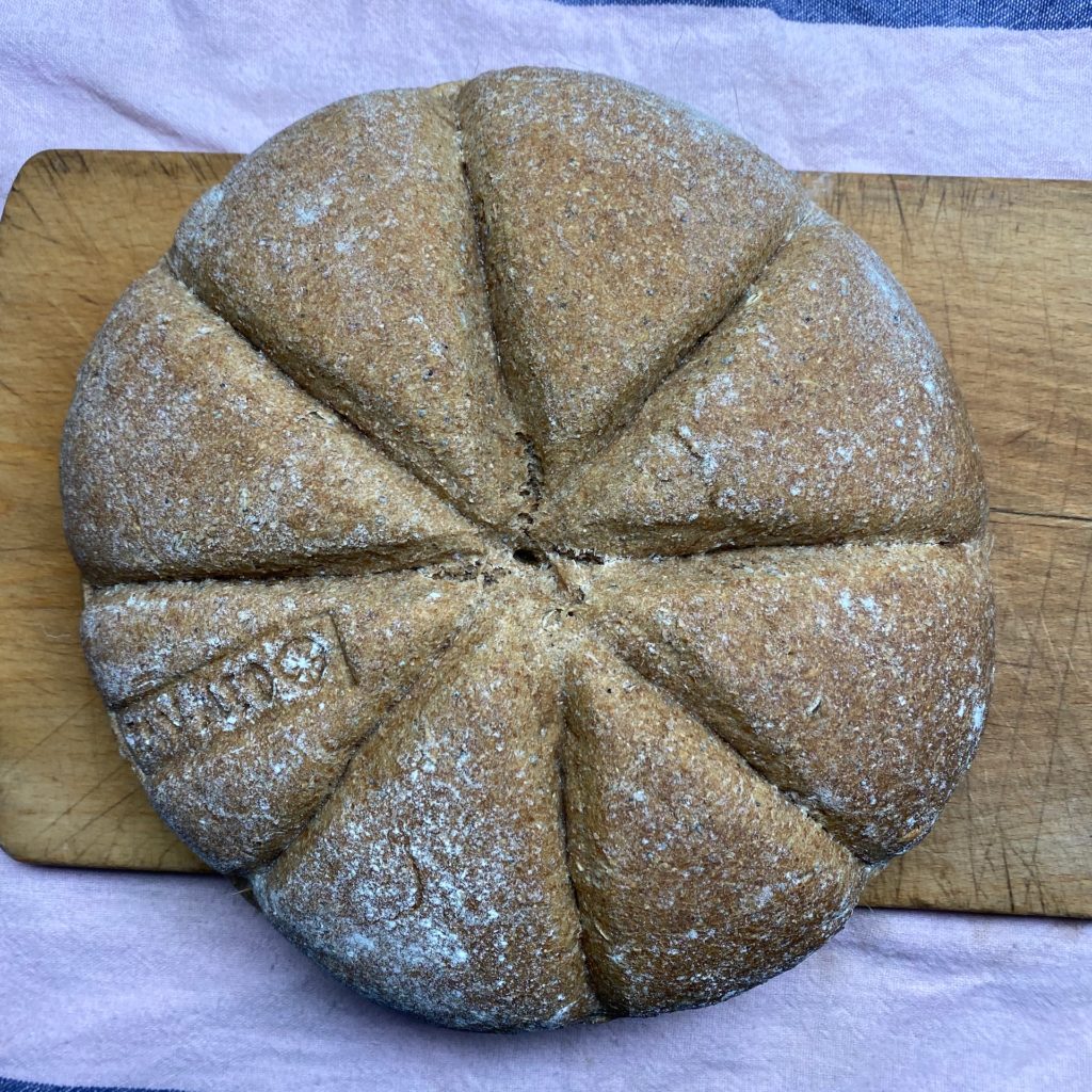 The finished panis quadratus, fresh out of the oven, its demarcations and stamp intact