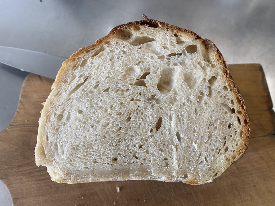 Crumb of rolled loaf is mostly even, with small bubbles