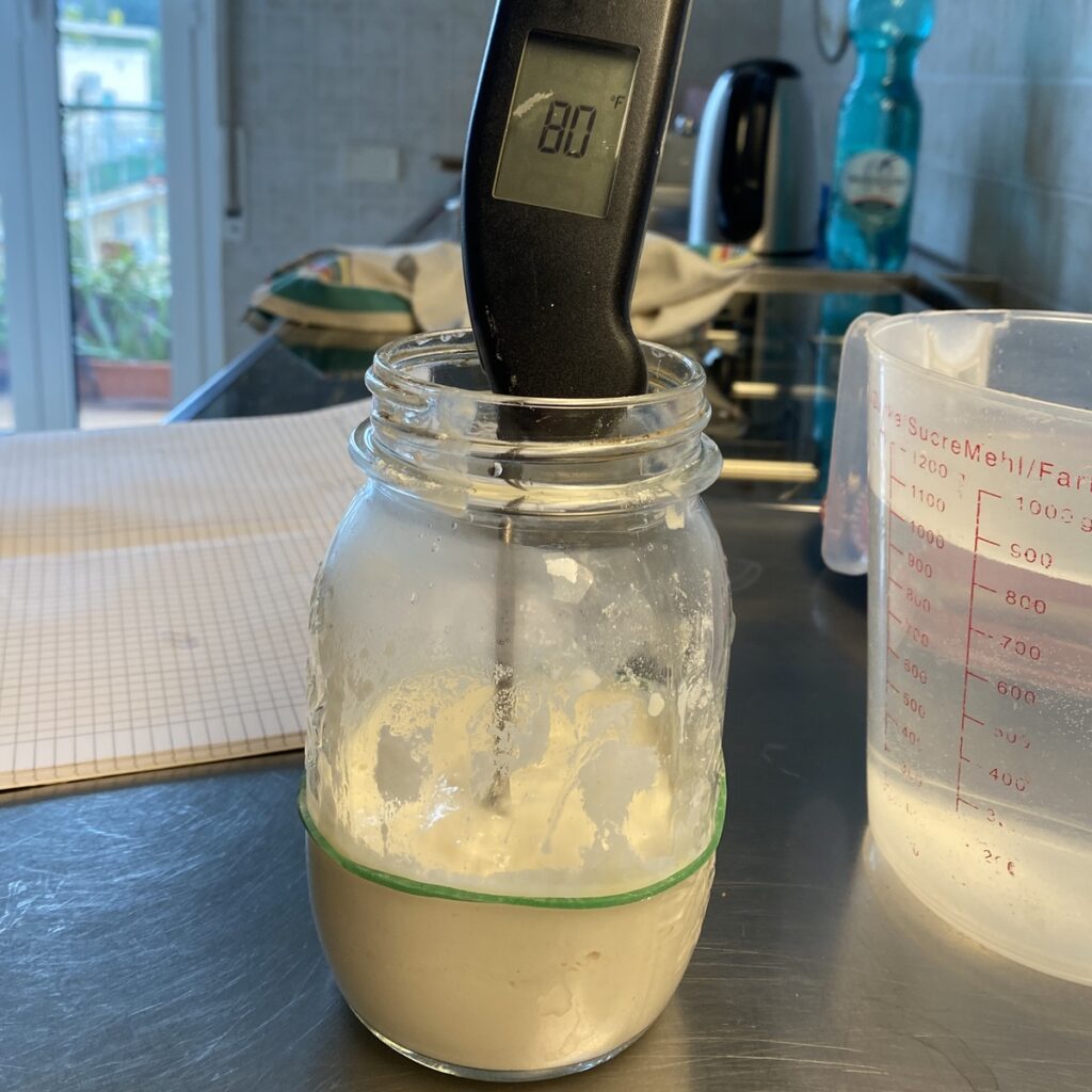 Freshly-made starter with thermometer showing 80°F 