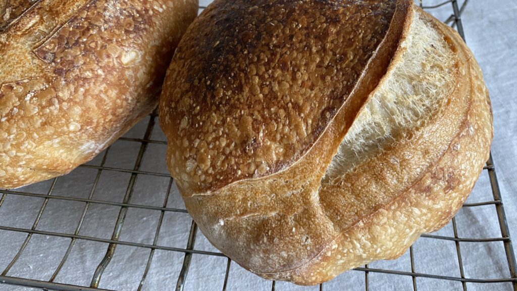 Close up of ear on baked loaf, showing two different surfaces where the ear had opened up